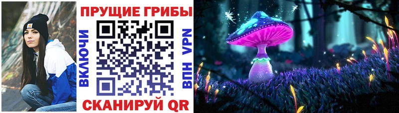 Купить где  Пикалёво  Псилоцибиновые грибы мухоморы 
